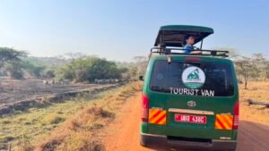 solo travelers Africa