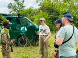 wildlife safari