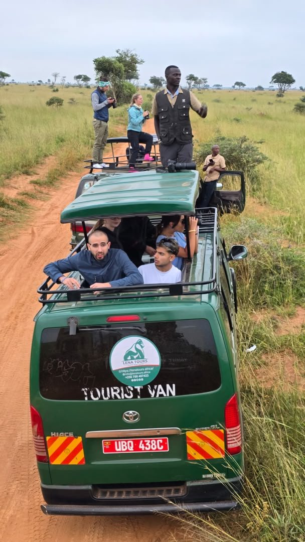 game drive safari with lena tours