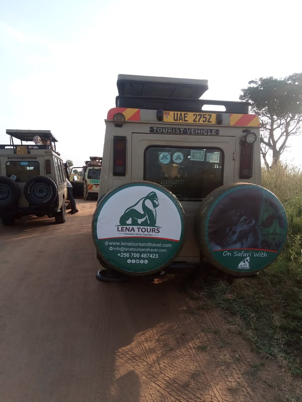 gorilla trekking and wildbeest migration