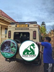 lena tours and travel