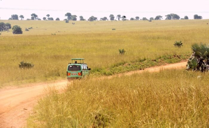 10 days safari
