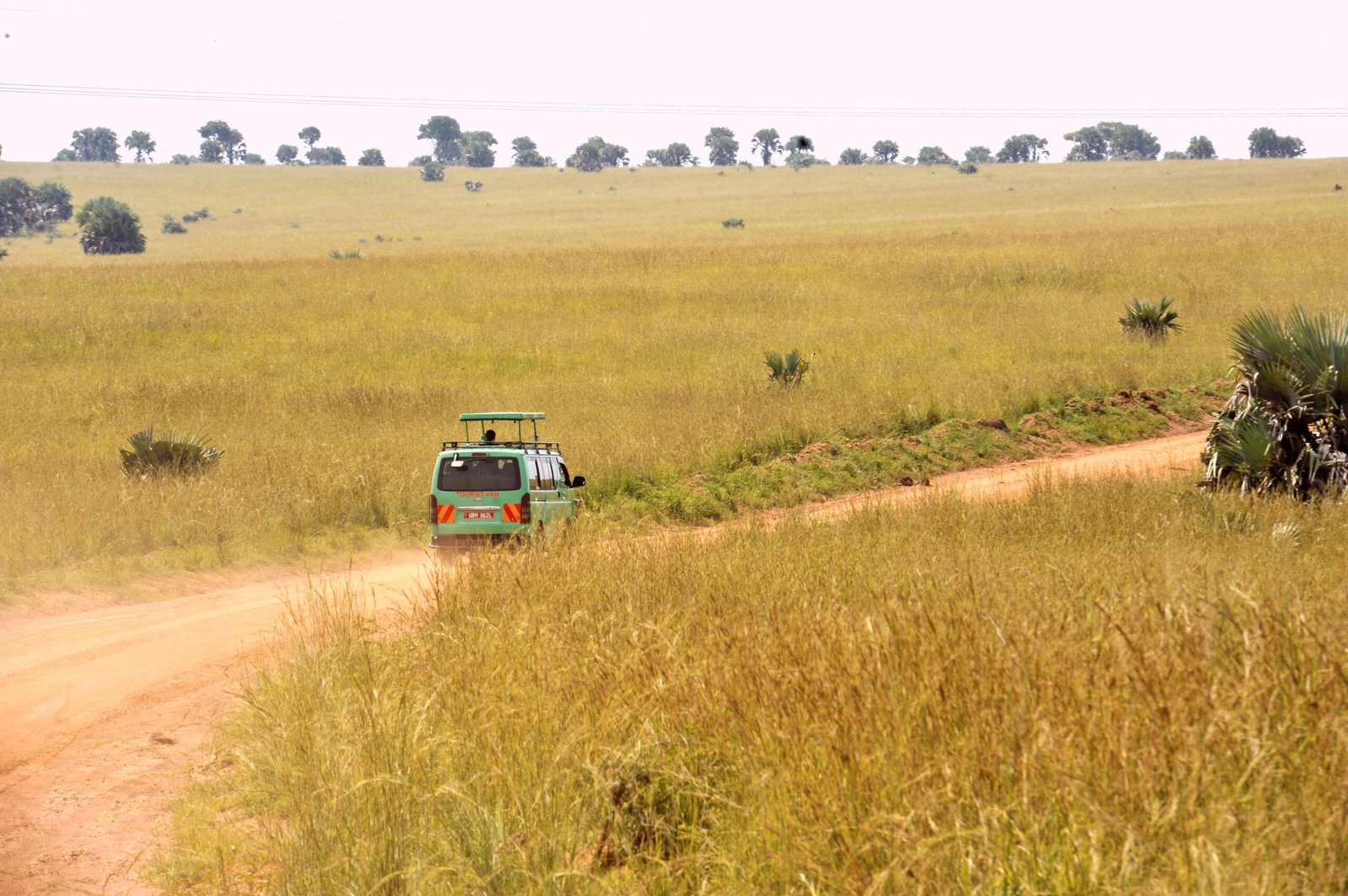 game drive safaris uganda 10 days safari