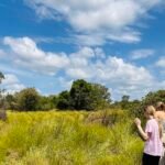 Family safaris and tours