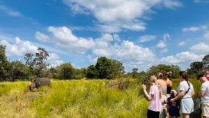 Family safaris and tours