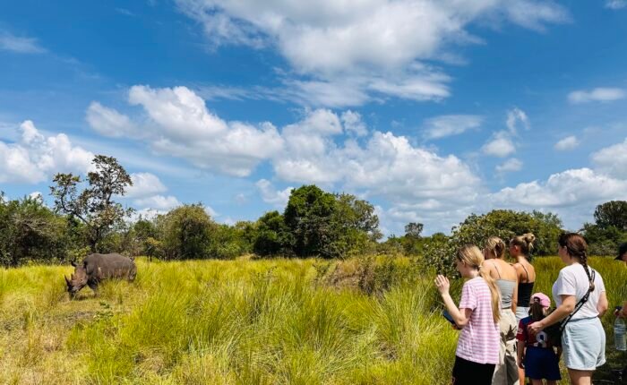 Family safaris and tours
