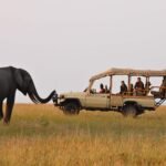 what to pack for a safari in uganda